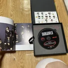 BTS DARK&WILD