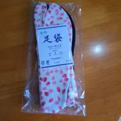 Item thumbnail for item 879e27dd-252c-447d-b897-b4fa32e632f0