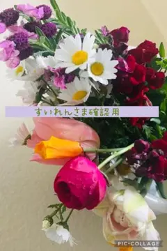 すいれん様確認用　オールビスクボディ