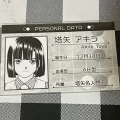 ヒカルの碁 塔矢アキラ プロフィールカード