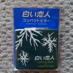 Item thumbnail for item da3aa2c1-9e3d-496e-90ca-43f95e4a1090