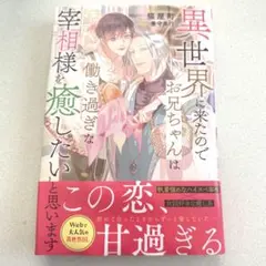 異世界に来たのでお兄ちゃんは働き過ぎな宰相様を癒したいと思います アルファポリス