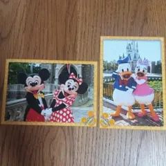 2005年ディズニー スペシャルフォト2枚　ミッキー　ミニー　ドナルド　デイジー