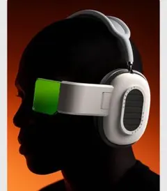 casetify スカウター