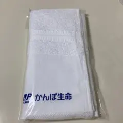 Item thumbnail for item 72c14a6b-5ba9-442a-8599-559ee118aad9