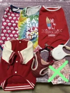 Item thumbnail for item 11eb092b-c999-4973-a283-7fdeaacf32cb