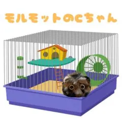 モルモットちゃんの編みぐるみキーホルダーC