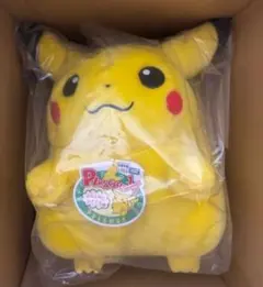 ポケモン30周年記念おかえり!ピカチュウ1/1 新品未使用