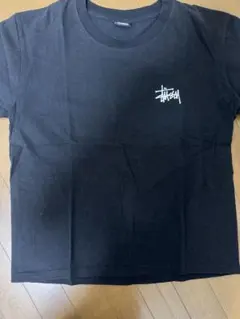 Stüssy ブラック Tシャツ