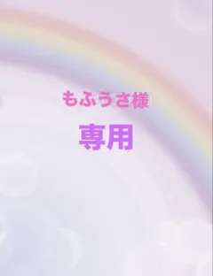 もふうさ様専用　生チョコ《ココアパウダー掛け》100g×2袋