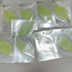 Item thumbnail for item f1cb92b2-1de7-4a59-ae96-49c08f0f6399