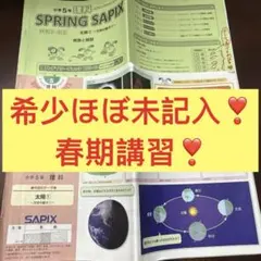 2026年最新】sapix 4年の人気アイテム - メルカリ