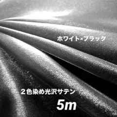 Item thumbnail for item 03948f49-ce31-4028-8523-836065329e60