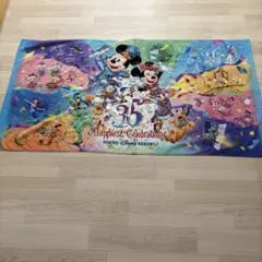 東京ディズニーリゾート 35周年 タオル