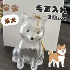 柴犬★毛玉入れ 2個セット クリア キーホルダー 犬の毛 メモリアル けだまだま