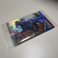 エクイノックス サラブレッドホースコレクション　競走馬カード 有馬記念 競馬