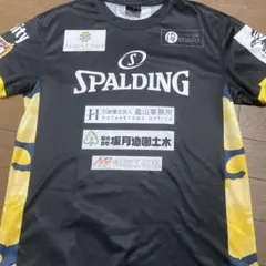 栃木シティ2025ホームユニフォーム+田中パウロ淳一 L - メルカリ