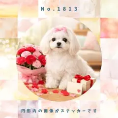 Item thumbnail for item 1a6f4ecf-adff-4a07-93fd-4a24e96a9892