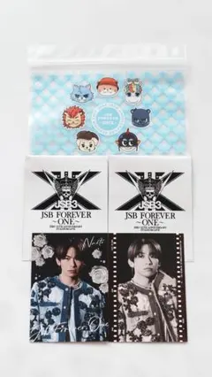 NAOTO 三代目 JSB FOREVER ONE フォトカード2種 おまけ付き