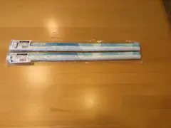 岬明乃・ヴィルヘルミーナ 横浜八景島シーパラダイス コラボタペストリー