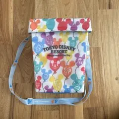 TOKYO DISNEY RESORTポップコーンバケット