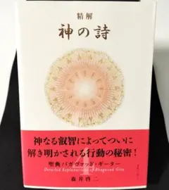 【新品】神の詩 聖典バガヴァット・ギーター4／森井啓二