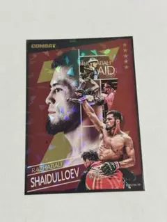 2026年最新】RIZINトレーディングカードの人気アイテム - メルカリ