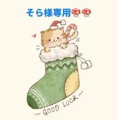 そら様 リクエスト 3点 まとめ商品