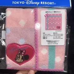 【新品】ミニタオルディズニー パルパルーザ ミニーのファンダーランド