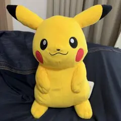 ポケモン ALLSTAR COLLECTION ピカチュウ ぬいぐるみ M