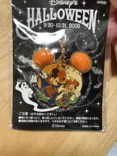 ディズニーハロウィンチャーム ディズニーランド 20周年 2003