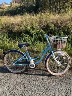 【手渡し限定】ARIATE 青色 子供用自転車 前カゴ付き　22インチ 2025年最新】子供用自転車22インチの人気アイテム - メルカリ 【手渡し