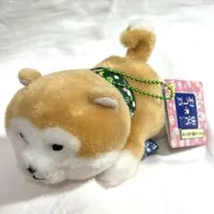 【美品】豆しば三兄弟 ぬいぐるみ まさお 柴犬 マスコット