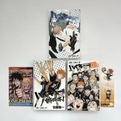 【初版3冊セット】　ハイキュー!! 　関連本　極　セイシュン