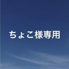 ちょこ様　専用ページ