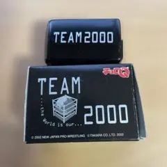 TEAM 2000 ミニカー 2002年製