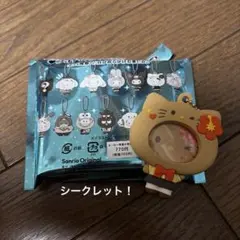 サンリオ フォトバッジ付きマスコット シークレットハローキティ