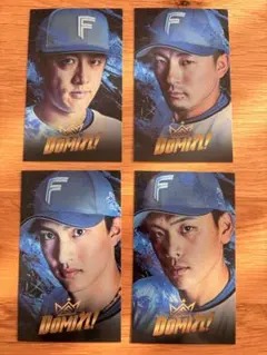 【非売品】北海道日本ハムファイターズ DOMIれ！ステッカー