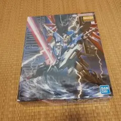 MG デスティニーガンダム ZGMF-X42S