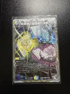 2026年最新】パーフェクトペテンシーの人気アイテム - メルカリ