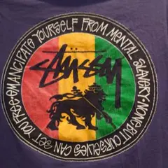 1995年代Stussy ラスタカラー ライオン Tシャツ