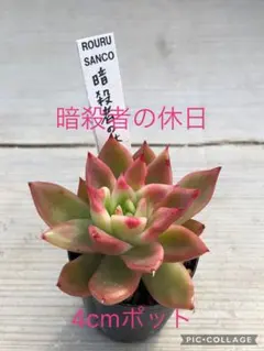 ˚*.☆375☆.*˚様 リクエスト 5点 まとめ商品