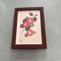 足立 真瑚画伯 手描き 桐箱 「つばき」 - メルカリ