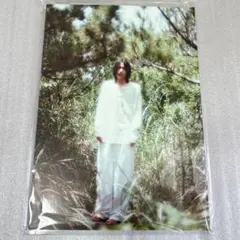 2026年最新】Zine 豊田裕大の人気アイテム - メルカリ