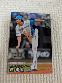 カルビー プロ野球チップス 北海道日本ハムファイターズ 達孝太 カード