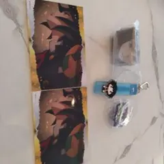 鬼滅の刃　冨岡義勇セット