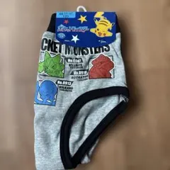 ポケモン ブリーフ