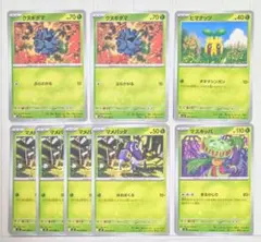 クヌギダマ　マメバッタ　ヒマナッツ　マスキッパのサムネイル