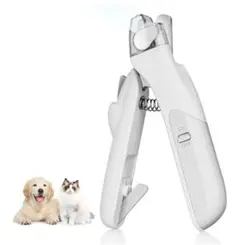 Item thumbnail for item 96a41f41-ded7-4650-ac3d-f68a9a9628b6