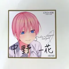 maru様 リクエスト 2点 まとめ商品